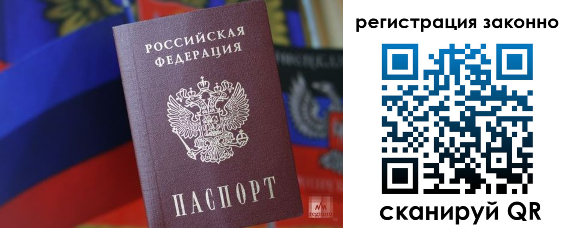 где прописаться в Ельне